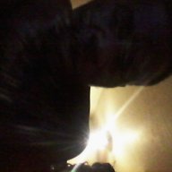 TrippleXD