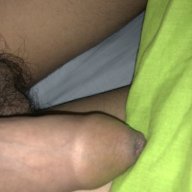 niharp527