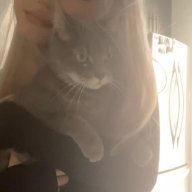 JaclinSlut