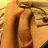 natedawg3605